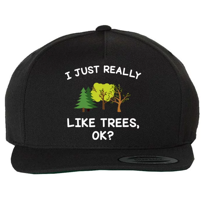 Tree Gifts Women I Just Really Like Trees Ok Funny Wool Snapback Cap