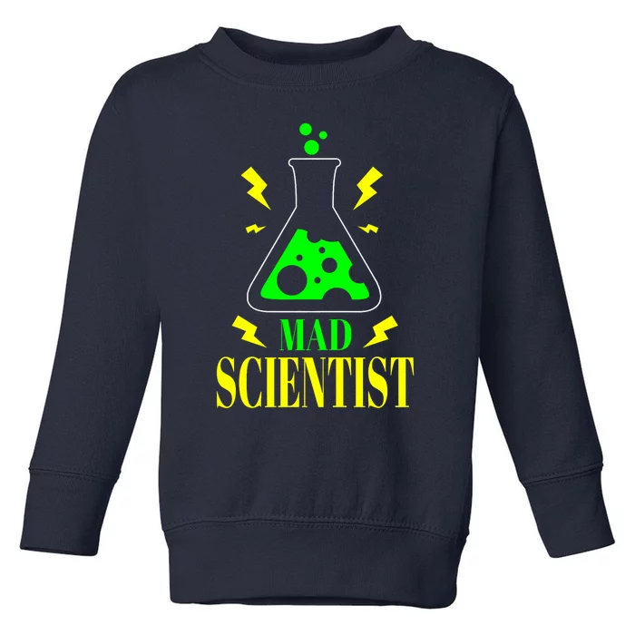 Teacher Halloween Costume Mad Scientist Science Toddler Sweatshirt