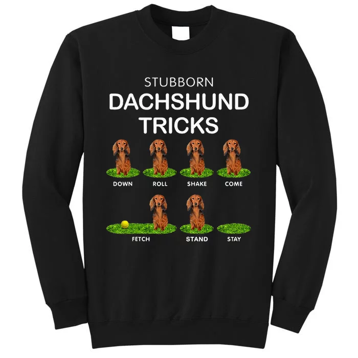 Thick Headed Dog Funny Long Hair Dachshund For Christmas Tall Sweatshirt