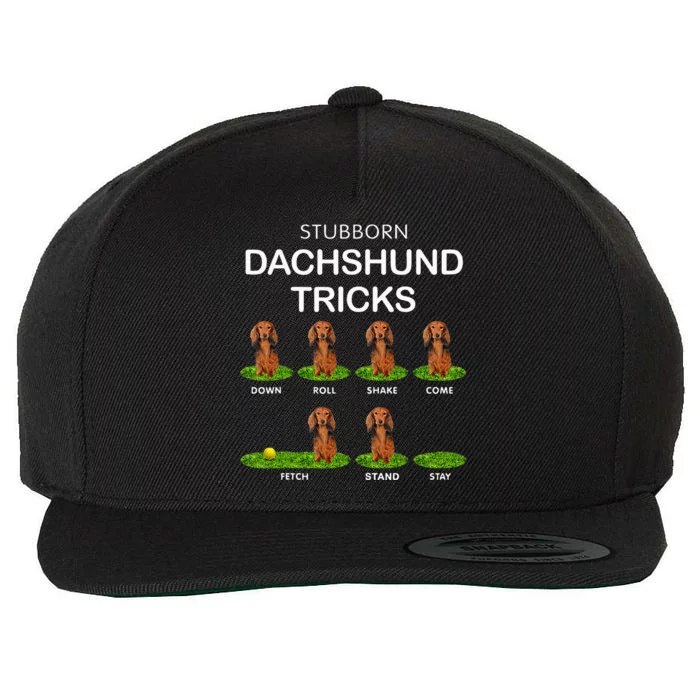 Thick Headed Dog Funny Long Hair Dachshund For Christmas Wool Snapback Cap