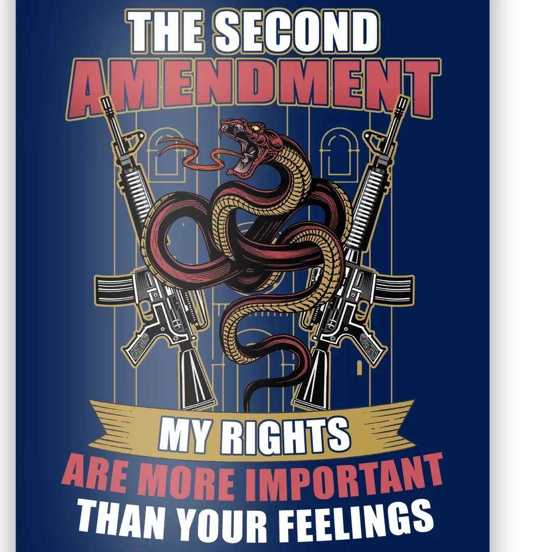 The 2nd Amendment My Rights Are More Important Than Your Feelings ...