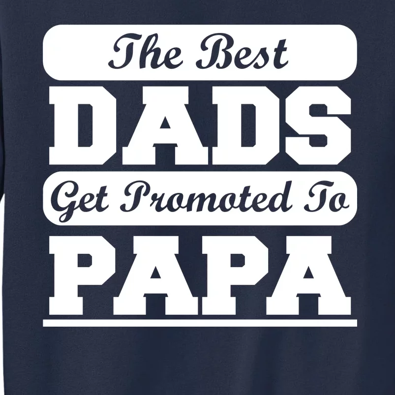 The Best Dads Get Promoted To Papa Sweatshirt