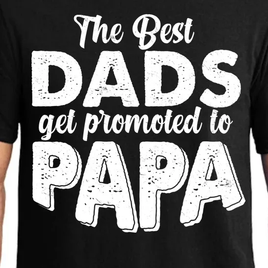 The Best Dads Get Promoted To Papa New Grandfather Pajama Set