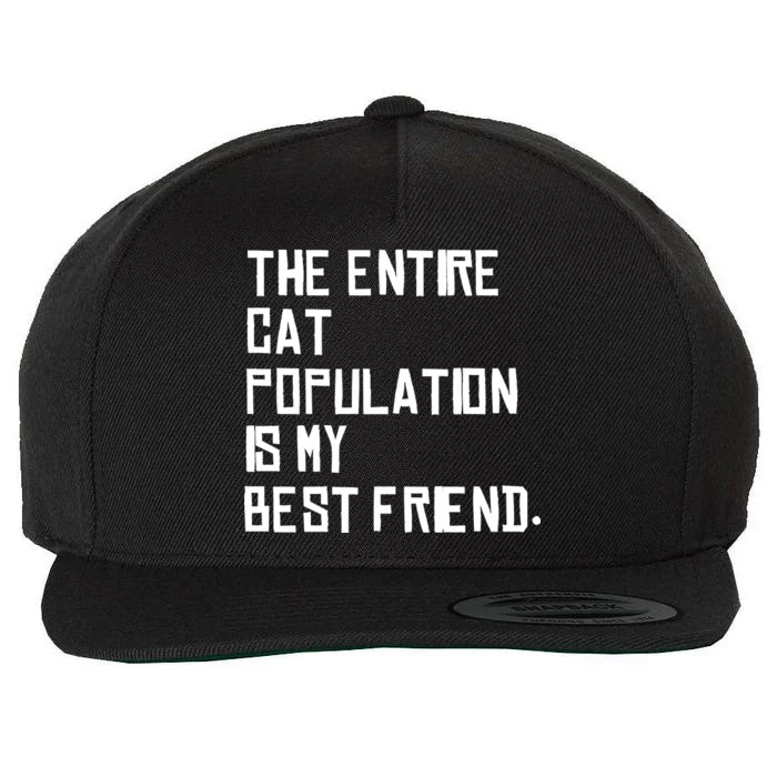 The Entire Cat Population Is My Best Friend Wool Snapback Cap