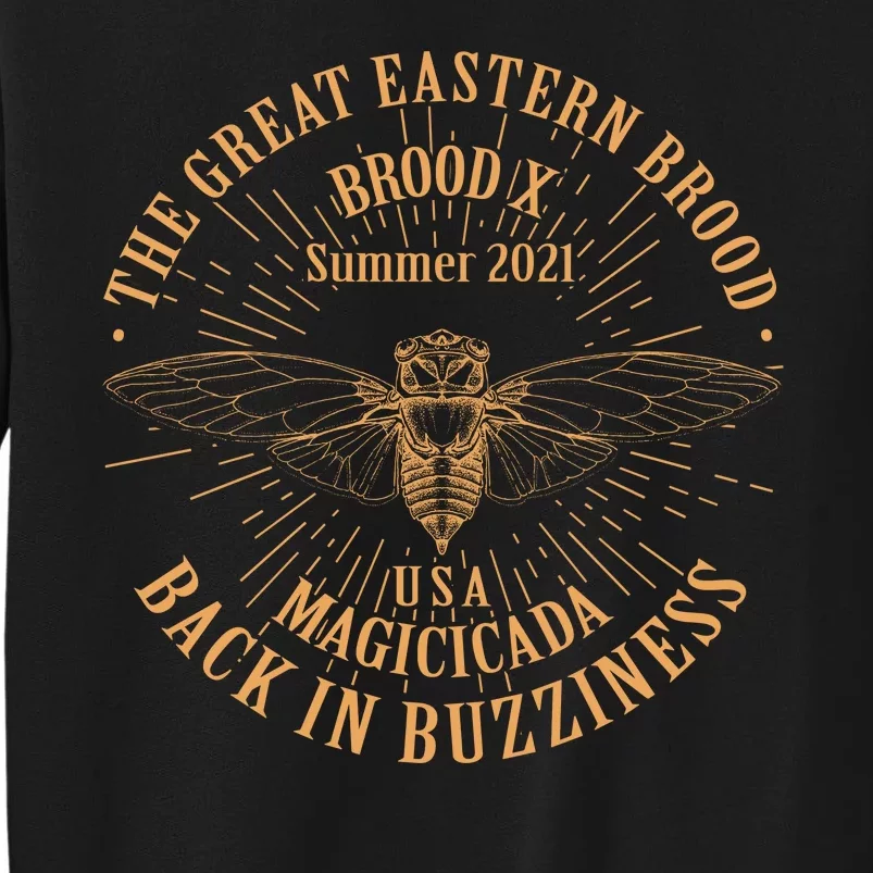 The Great Eastern Brood X Summer 2021 Magicicada Back In Buzziness Tall Sweatshirt