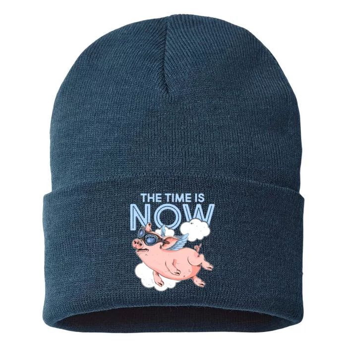 The Time Is Now Flying Pig Sustainable Knit Beanie