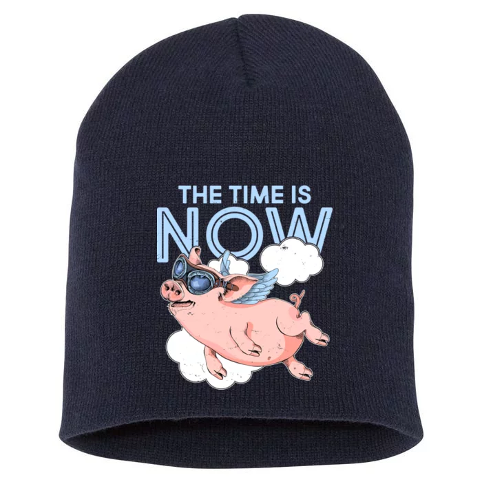 The Time Is Now Flying Pig Short Acrylic Beanie