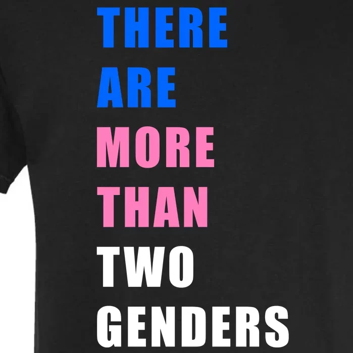 There Are More Than Two Genders Garment-Dyed Heavyweight T-Shirt