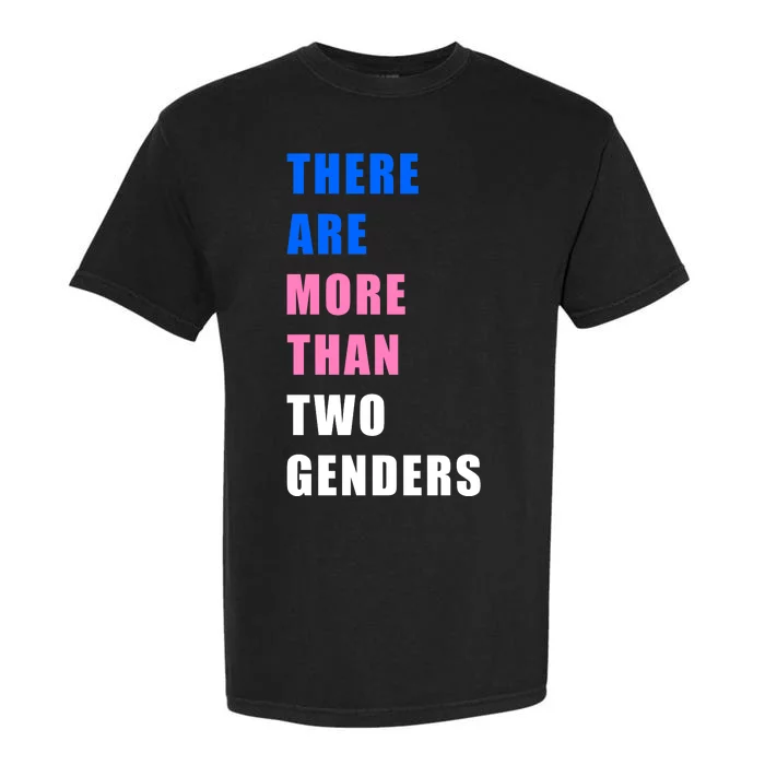 There Are More Than Two Genders Garment-Dyed Heavyweight T-Shirt