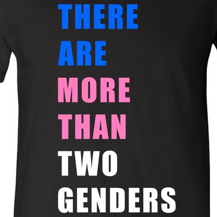 There Are More Than Two Genders V-Neck T-Shirt