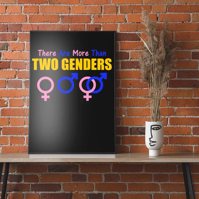 There Are More Than Two Genders Gender Signs Poster