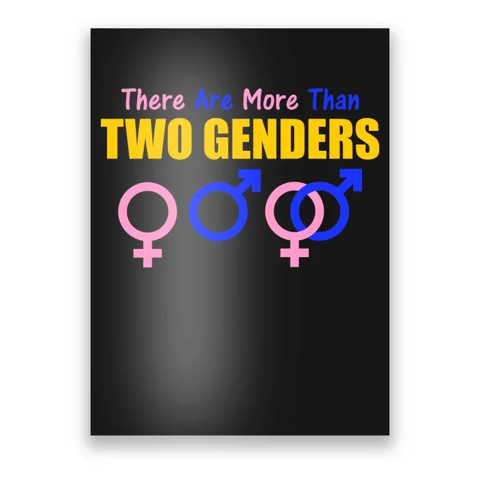 There Are More Than Two Genders Gender Signs Poster