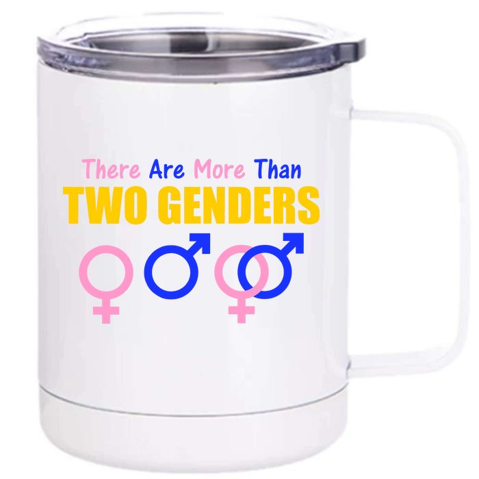 There Are More Than Two Genders Gender Signs Front & Back 12oz Stainless Steel Tumbler Cup