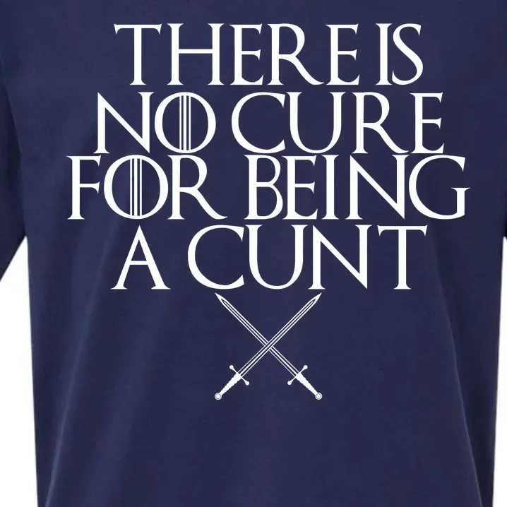 There Is No Cure For Being A Cunt Sueded Cloud Jersey T-Shirt