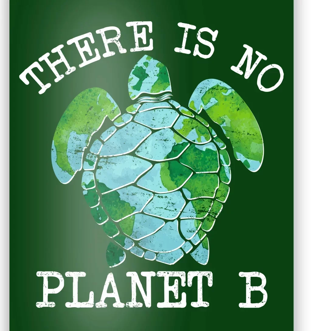 There is No Planet B Earth Poster