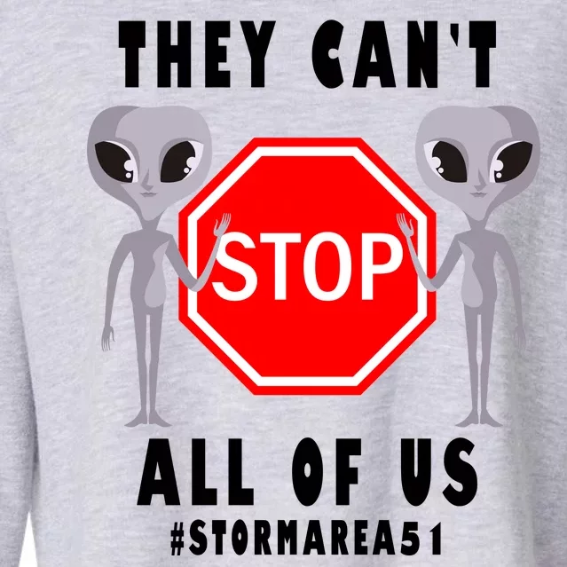 They Can't Stop All Of Us Aliens Storm Area 51 Cropped Pullover Crew