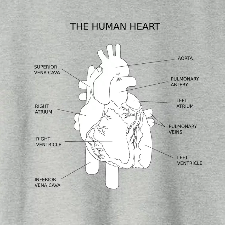 The Hu Heart Anatomy Gift Women's Crop Top Tee