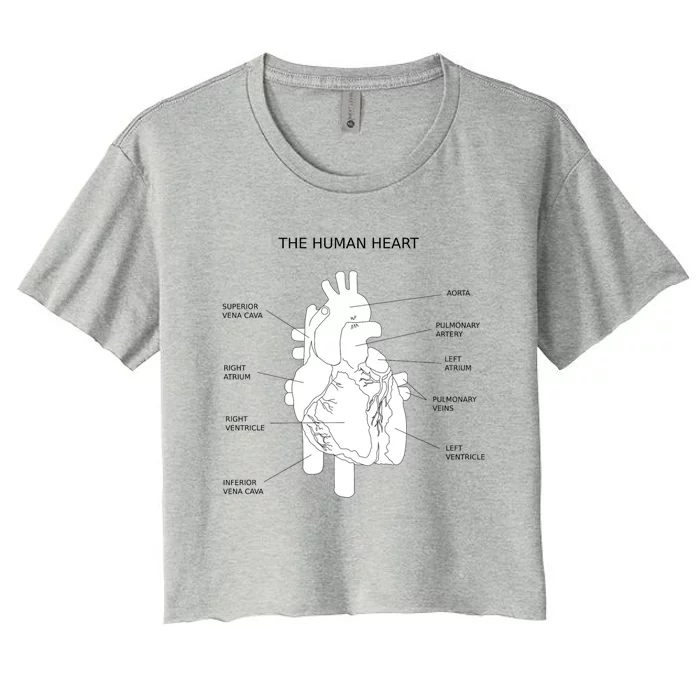 The Hu Heart Anatomy Gift Women's Crop Top Tee