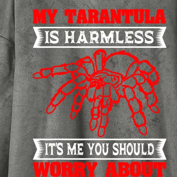 Tarantula Hairy Spiders Arachnid Entomophile Entomologist Hooded Wearable Blanket