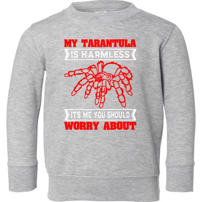 Tarantula Hairy Spiders Arachnid Entomophile Entomologist Toddler Sweatshirt