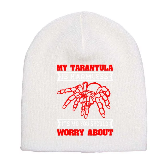 Tarantula Hairy Spiders Arachnid Entomophile Entomologist Short Acrylic Beanie