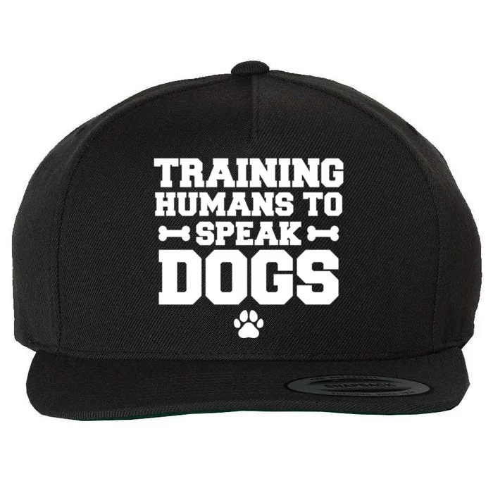 Training Hu To Speak Dogs Dog Trainer Gift Wool Snapback Cap