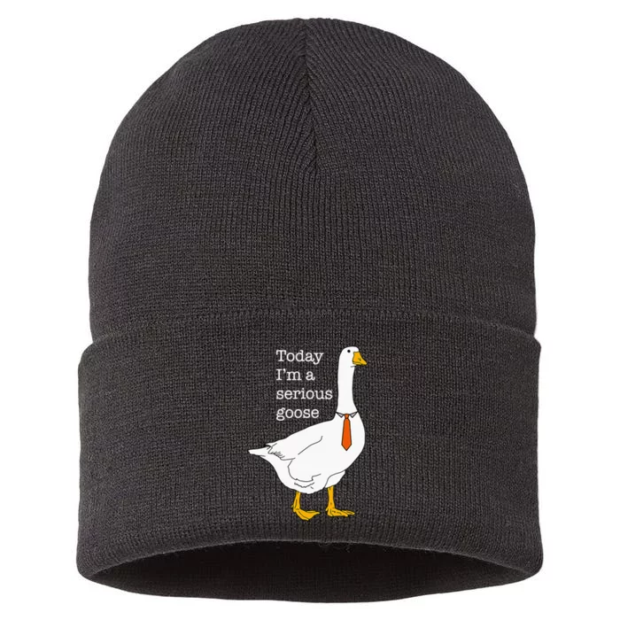 Today IM A Serious Goose Silly Goose Cute Funny Sustainable Knit Beanie