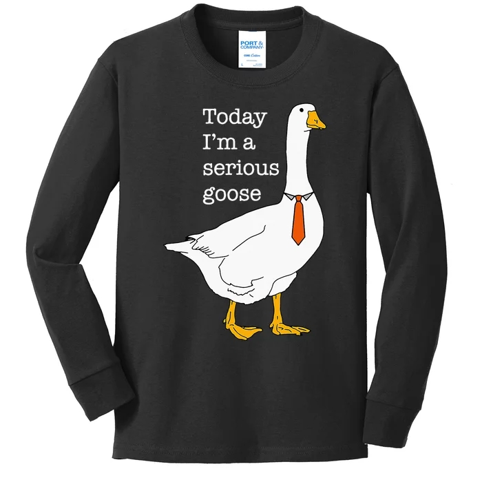 Today IM A Serious Goose Silly Goose Cute Funny Kids Long Sleeve Shirt