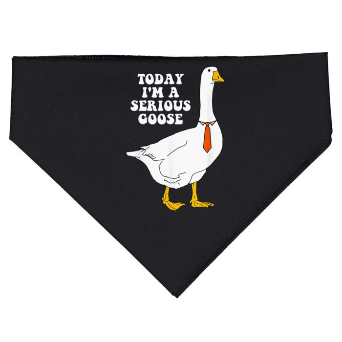 Today IM A Serious Goose Silly Goose Cute USA-Made Doggie Bandana