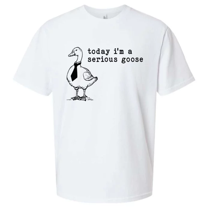 Today IM A Serious Goose Sueded Cloud Jersey T-Shirt