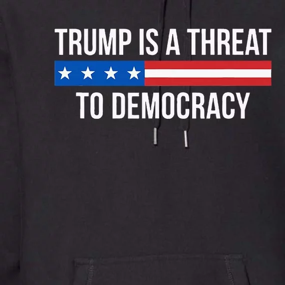 Trump Is A Threat To Democracy Premium Hoodie