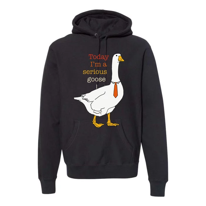 Today IM A Serious Goose Funny Silly Goose Premium Hoodie