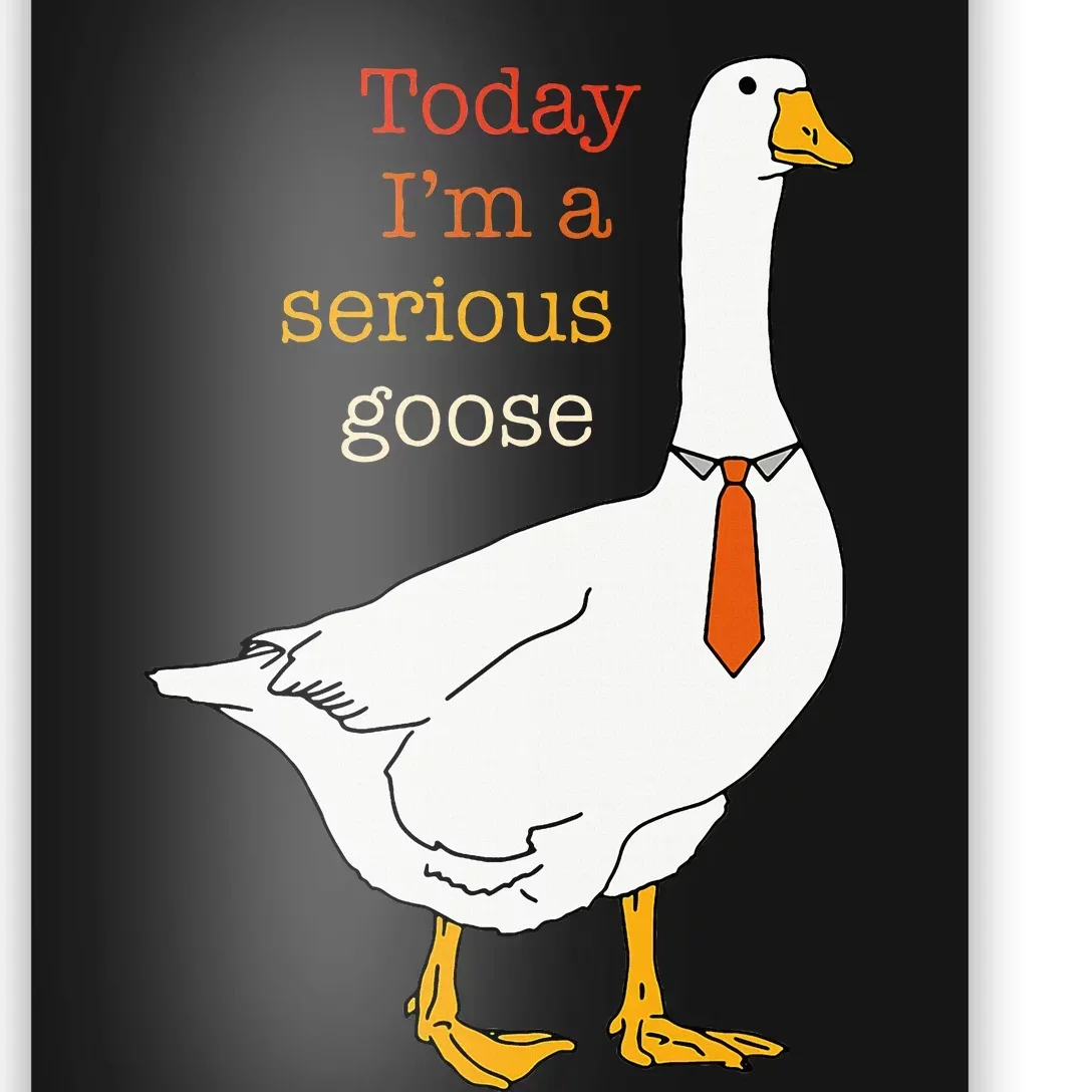 Today IM A Serious Goose Funny Silly Goose Poster