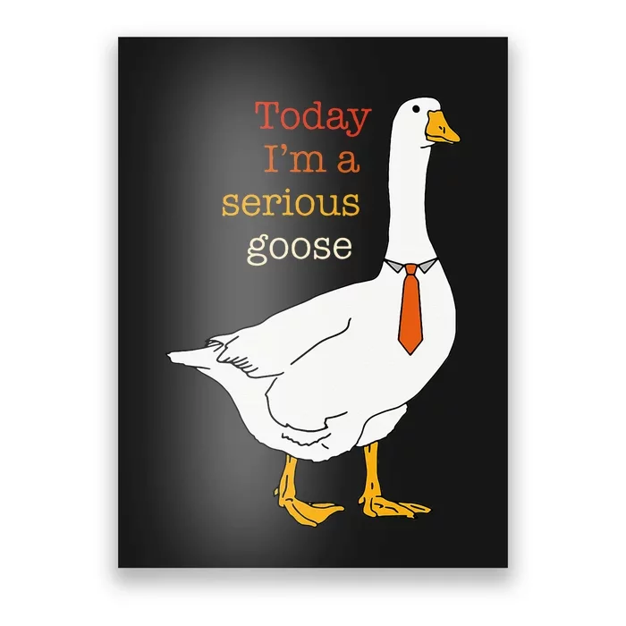 Today IM A Serious Goose Funny Silly Goose Poster