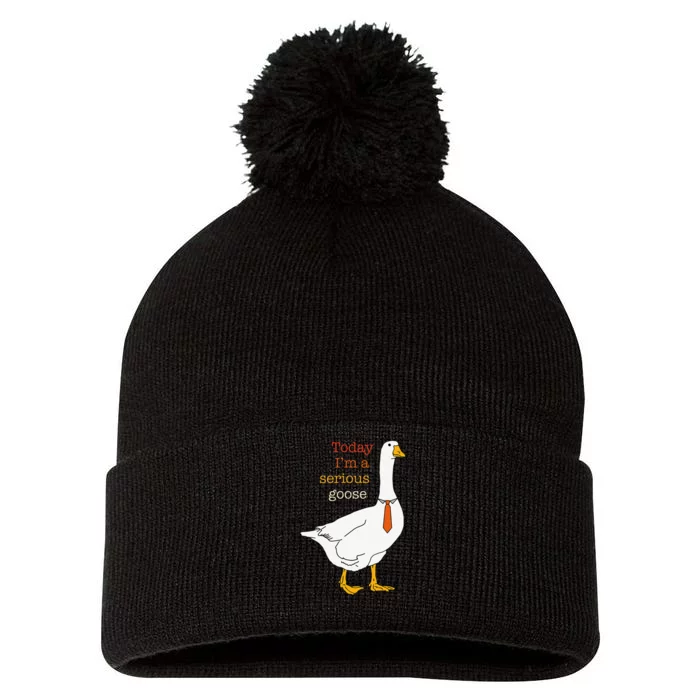 Today IM A Serious Goose Funny Silly Goose Pom Pom 12in Knit Beanie