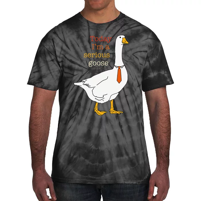 Today IM A Serious Goose Funny Silly Goose Tie-Dye T-Shirt