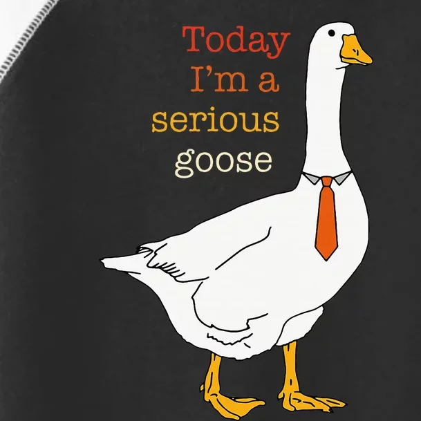 Today IM A Serious Goose Funny Silly Goose Toddler Fine Jersey T-Shirt