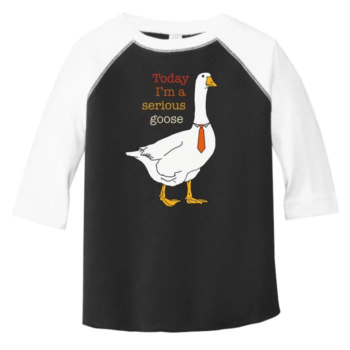 Today IM A Serious Goose Funny Silly Goose Toddler Fine Jersey T-Shirt