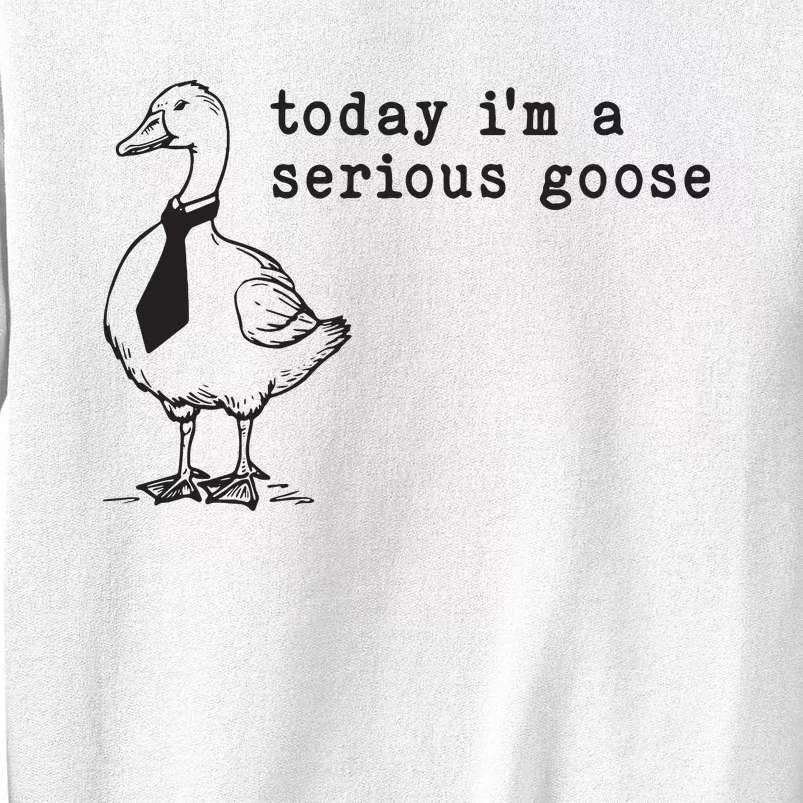 Today Im A Serious Goose Sweatshirt