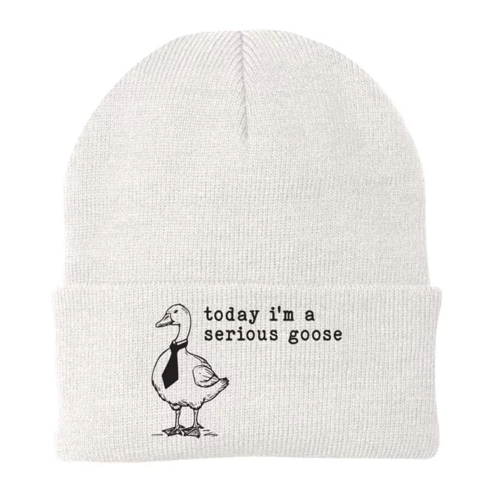 Today Im A Serious Goose Knit Cap Winter Beanie