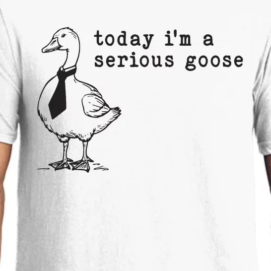 Today Im A Serious Goose Pajama Set