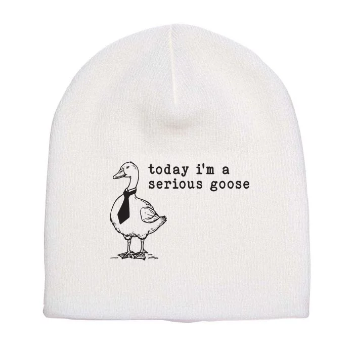 Today Im A Serious Goose Short Acrylic Beanie