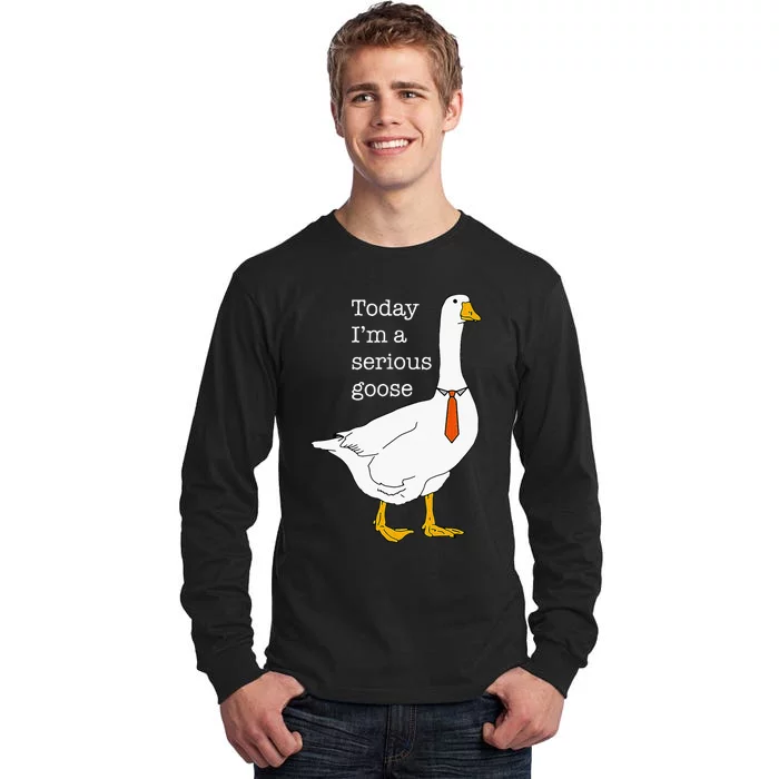 Today IM A Serious Goose Silly Goose Tall Long Sleeve T-Shirt