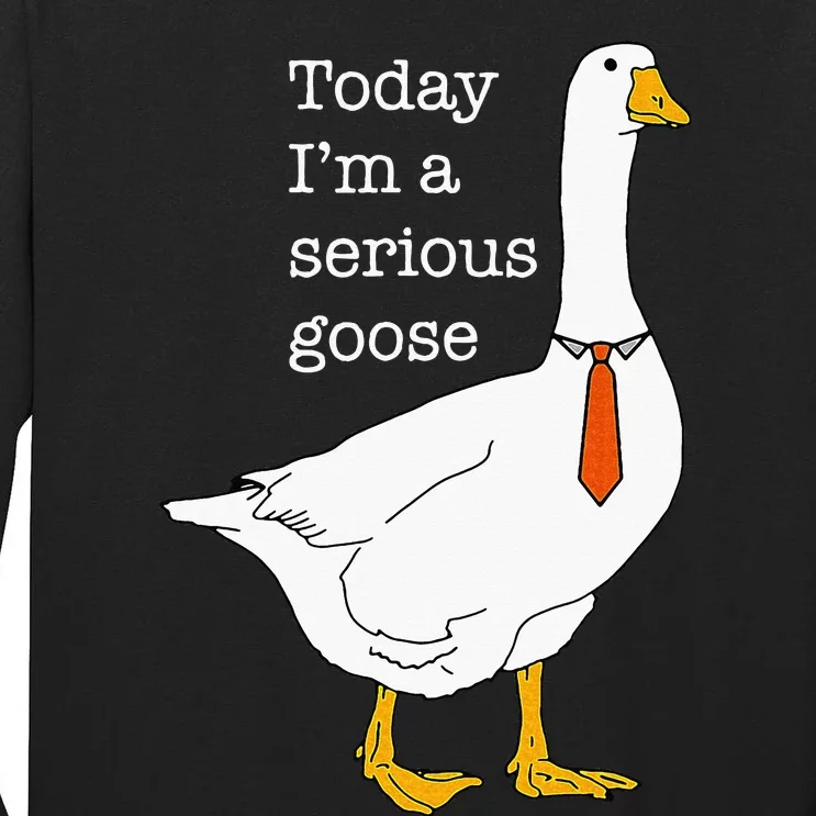 Today IM A Serious Goose Silly Goose Tall Long Sleeve T-Shirt