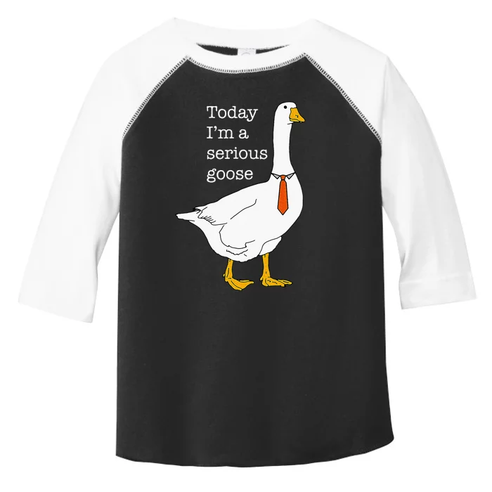 Today IM A Serious Goose Silly Goose Toddler Fine Jersey T-Shirt