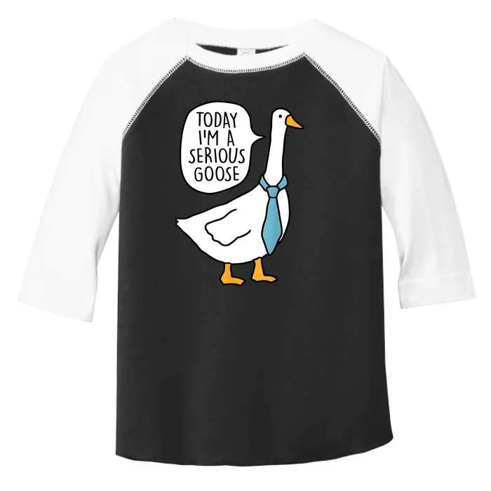 Today IM A Serious Goose Funny Serious Goose Toddler Fine Jersey T-Shirt