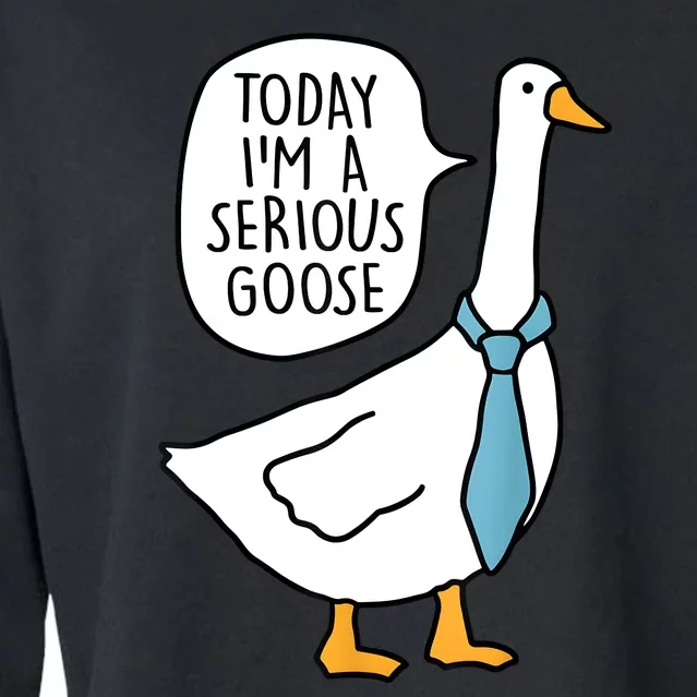 Today IM A Serious Goose Funny Serious Goose Cropped Pullover Crew