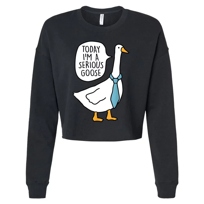 Today IM A Serious Goose Funny Serious Goose Cropped Pullover Crew