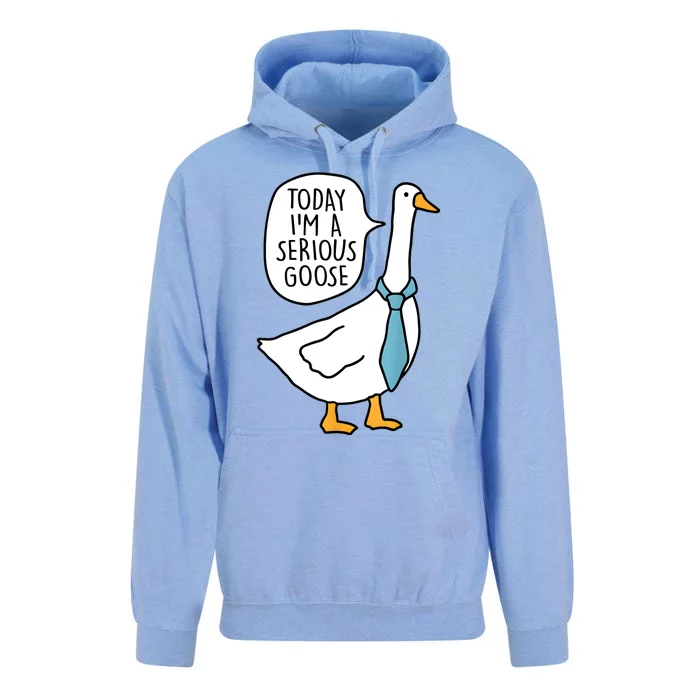 Today IM A Serious Goose Funny Serious Goose Unisex Surf Hoodie