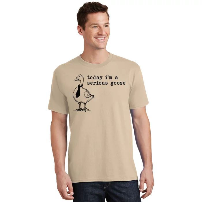 Today IM A Serious Goose Gift T-Shirt